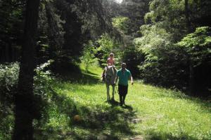Materská škola - Jakovany, foto 32 z 43