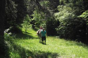 Materská škola - Jakovany, foto 30 z 43